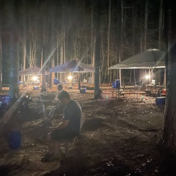 Blog Illustration Blog Illustration